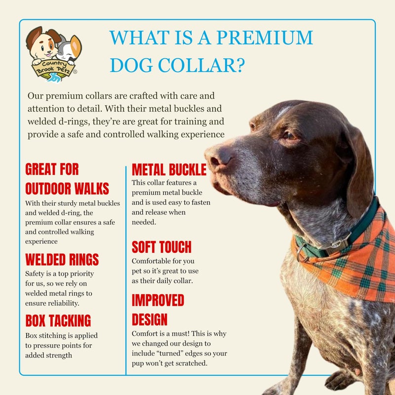 Country Brook Design Country Brook Petz - Premium Nylon Dog Collar with Metal Buckle for Small Medium Large Breeds - 10+ Cool Colors (Small, 3/4 Inch, Green) - Image 5